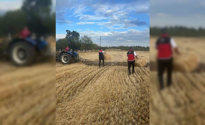 Tarım Müdürlüğü ekipleri yangın sonrası üreticilerin yanında