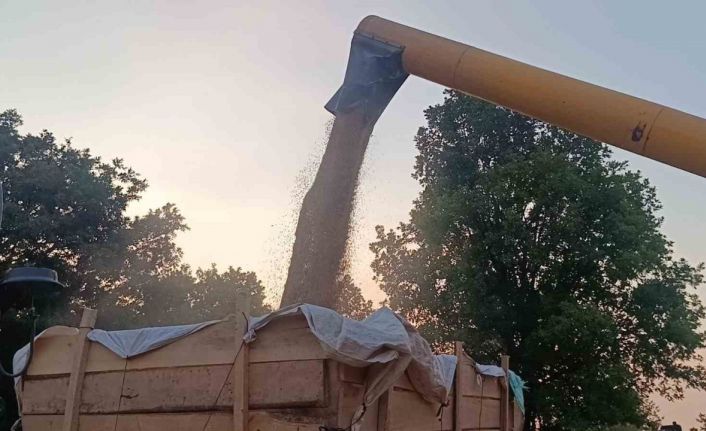 Tarım şehri Bilecik’te arpa ve buğday bereketi