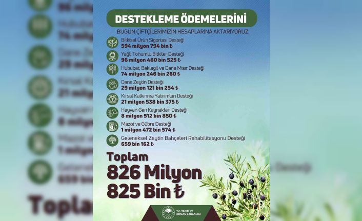 Tarım ve Orman Bakanlığından çiftçilere toplam 826 milyon lira destek