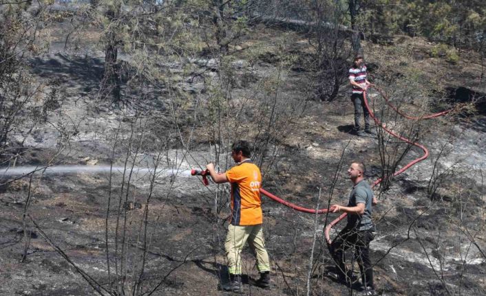 Tarlada çıkan yangın ormana sıçradı: 6 dekar alan zarar gördü
