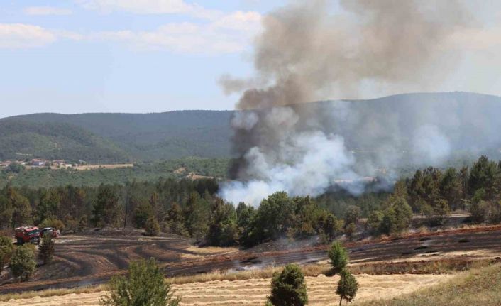 Tarlada çıkan yangın ormana sıçradı: Ekipler karadan ve havadan müdahale ediyor