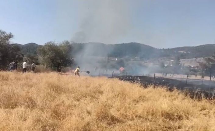Tavşanlı Balıköy’de çıkan yangın büyümeden söndürüldü
