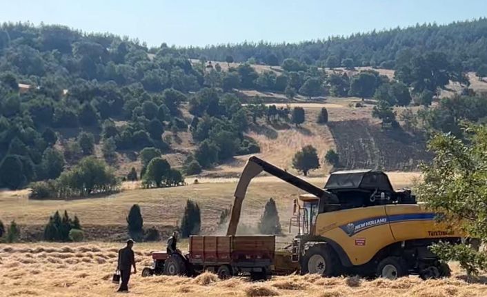 Tavşanlı’da çiftçiler emeklerinin karşılığını almanın heyecanını yaşıyor