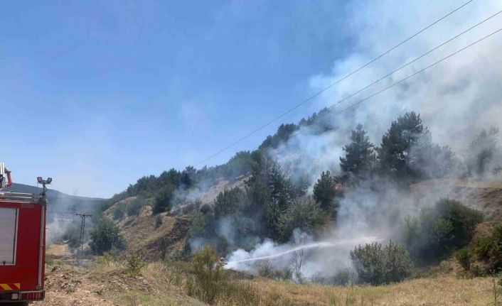 Tavşanlı’da orman yangını erken müdahaleyle söndürüldü