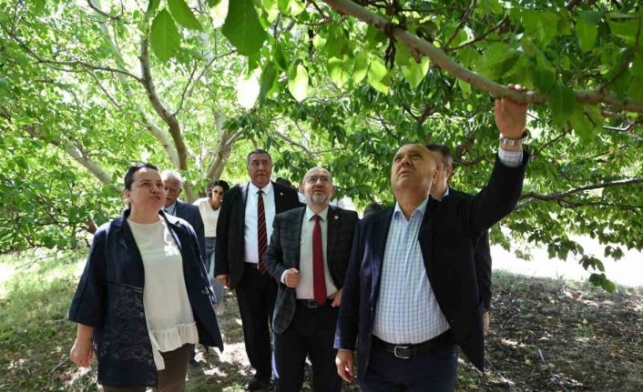 TBMM Zirai Don Araştırma Komisyonu Çivril’de meyve bahçelerini inceledi