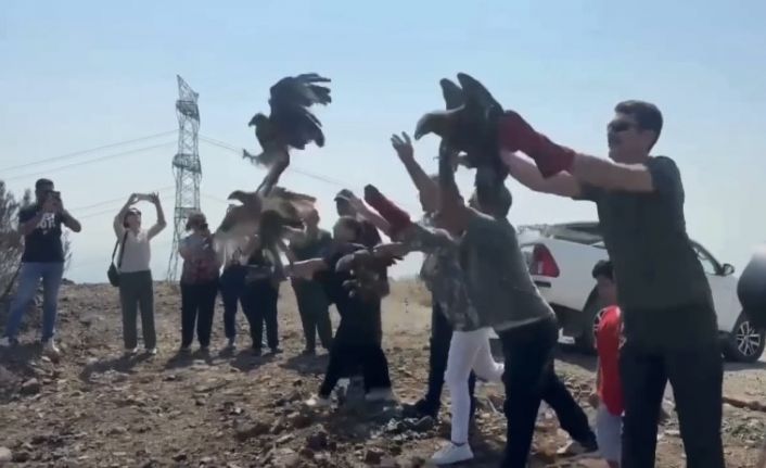 Tedavileri tamamlanan 11 yabani kuş doğaya salındı