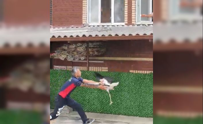 Tek ayaklı leyleği havada yakaladı, itfaiye erinin refleksi leyleğin hayatını kurtardı