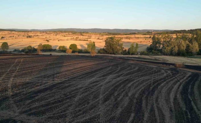 Tekirdağ’da 2 bin 500 dönüm ekili alan ve 200 adet arı kovanı yandı