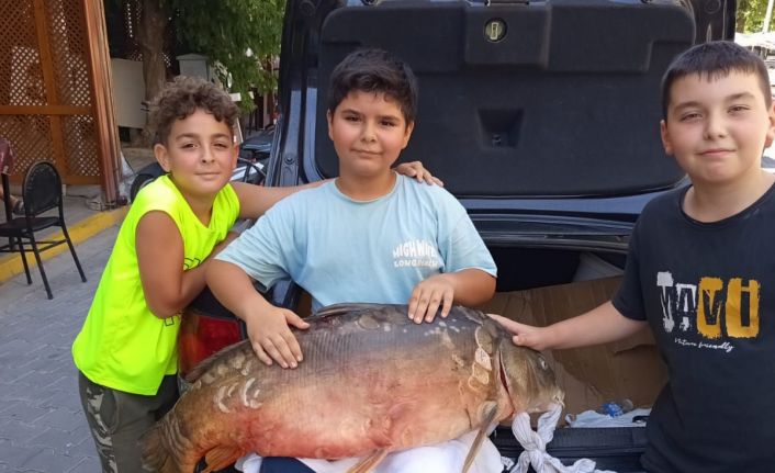 Tekirdağ’da amatör balıkçı 38 kiloluk sazan yakaladı