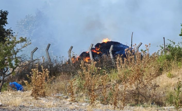 Tekirdağ’da anız yangını ormanlık alana sıçradı
