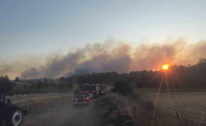 Tekirdağ’da eski kömür ocağı sahasında yangın