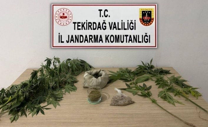 Tekirdağ’da jandarmadan 6 ayrı uyuşturucu operasyonu