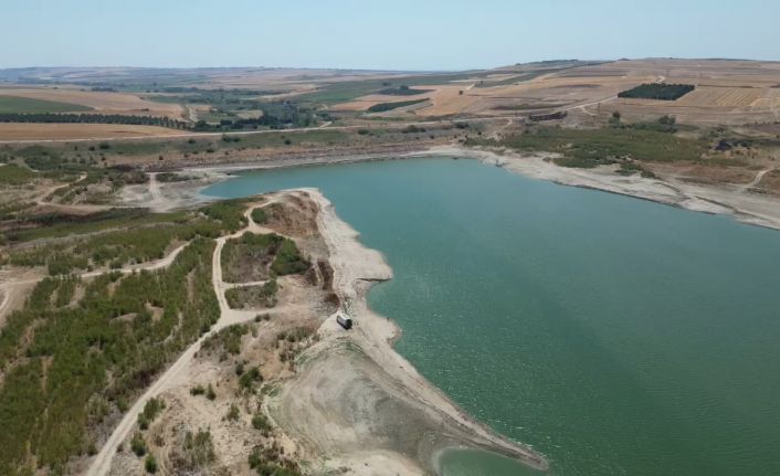 Tekirdağ’da kuruyan Türkmenli Gölet’inde ağaçlar ortaya çıktı