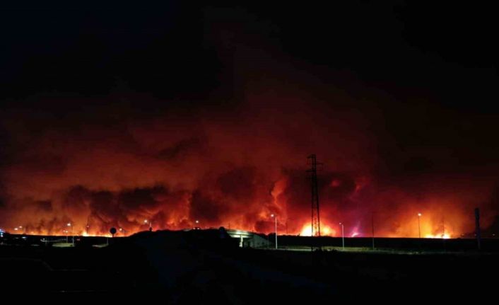 Tekirdağ’da orman yangını geceyi gündüze çevirdi