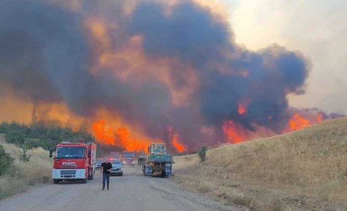 Tekirdağ’daki orman yangını kontrol altına alındı