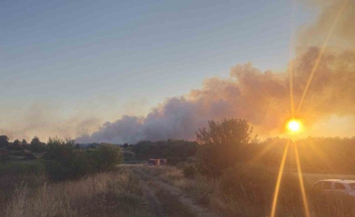 Tekirdağ’daki yangın kontrol altına alındı