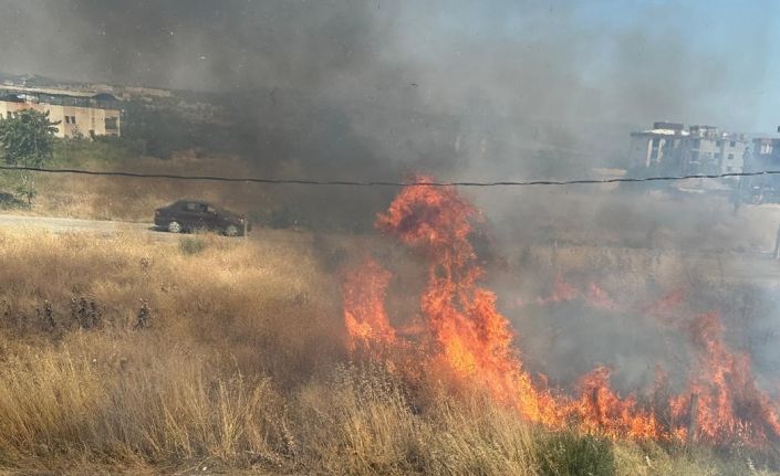 Temizlenmeyen kuru otlar yangına neden oldu