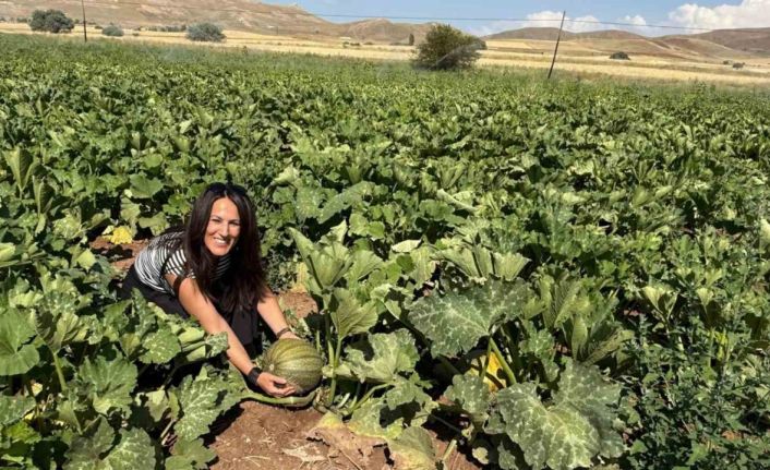 Tercan’da çerezlik kabak üretimi yaygınlaşıyor
