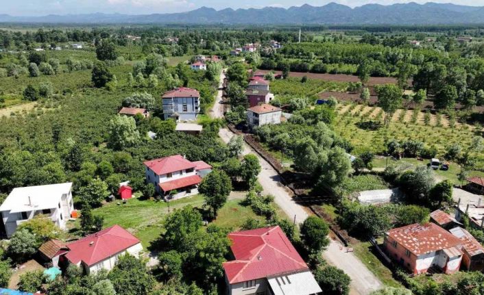 Terme’de doğalgaz ağı genişliyor