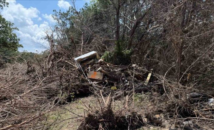 Texas’taki sel felaketinde can kaybı 131’e yükseldi