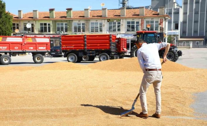 Ticaret borsasında yeni sezon başladı: İlk mahsuller satışa sunuldu