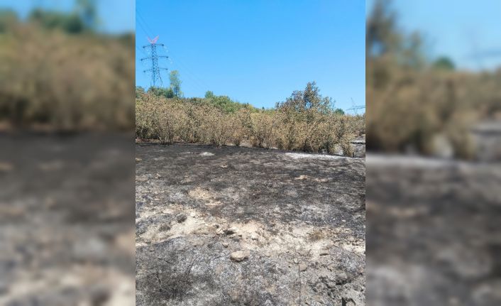 Tırpan motoru fındık bahçesini yaktı