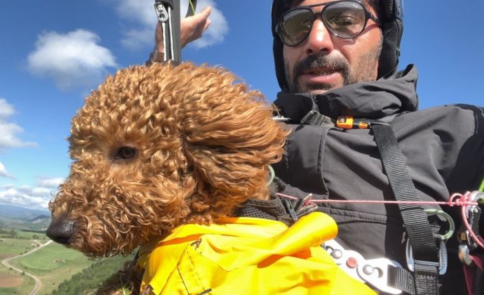 Toby isimli köpek paraşütle atlayıp 330 metrede uçuş deneyimi yaşadı