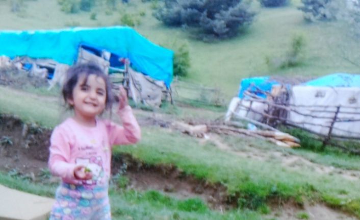 Tokat’ta 3,5 yaşında kaybolan Evrim’den 7 yıldır haber alınamıyor
