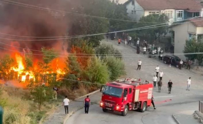 Tokat’ta arı kovanları küle döndü