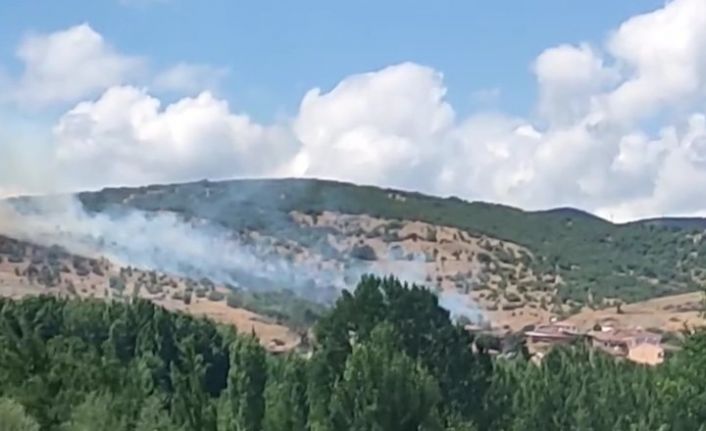 Tokat’taki yangında alevler yerleşim alanına ulaşmadan söndürüldü