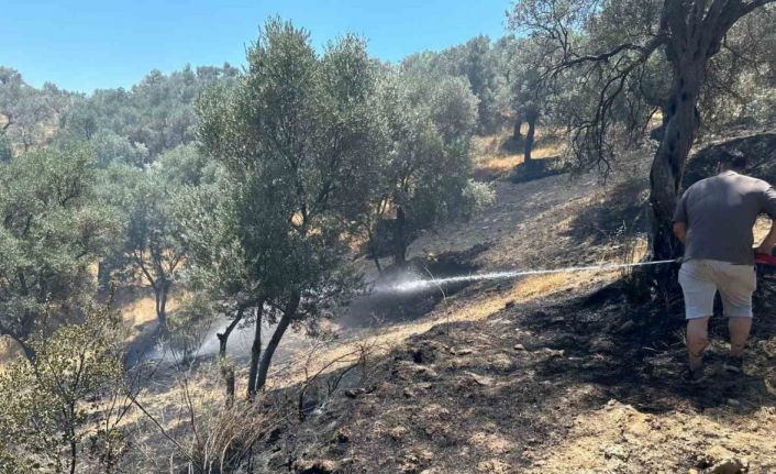 Torbalı’daki yangın tamamen söndürüldü