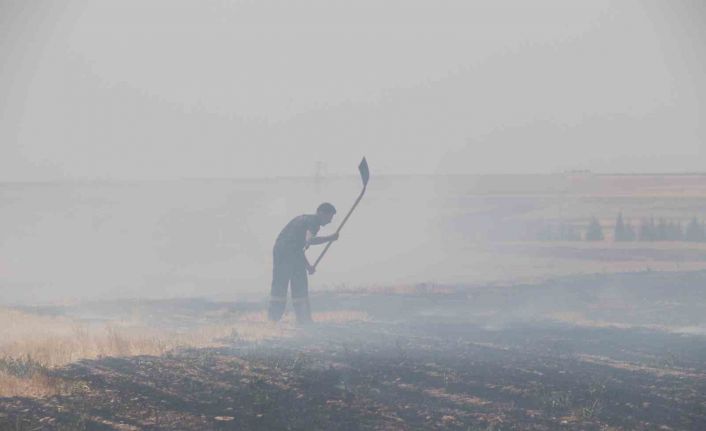 Trafodan çıkan yangında 50 dönüm tarım arazisi kül oldu
