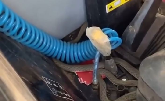 Traktörde yılan paniği