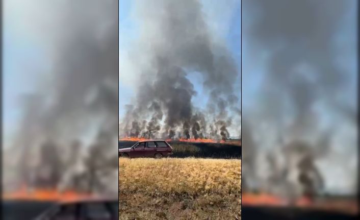 Traktörün kepçesinin elektrik tellerine temas etmesi ile çıkan yangında 50 dönüm arazi yandı