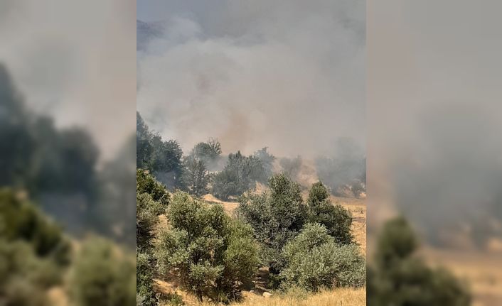 Tunceli’de çıkan yangın büyük ölçüde söndürüldü
