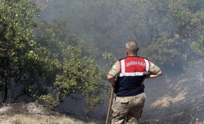 Tunceli’de otluk ve ormanlık alanda yangın