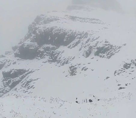 Tuncelili yaylacılar Erzurum’da kara yakalandı