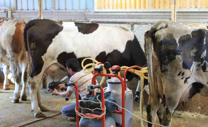 TÜSEDAD’dan çiğ sütte maliyet konusunda iş birliği çağrısı