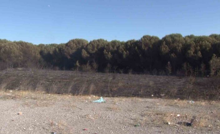 Tuzla’da otluk alanda çıkan yangın ormana sıçramadan söndürüldü