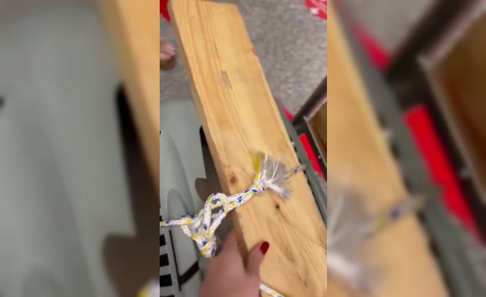 Uçağın kargo bölümüne verdiği evcil hayvanlarını teslim alınca çılgına döndü