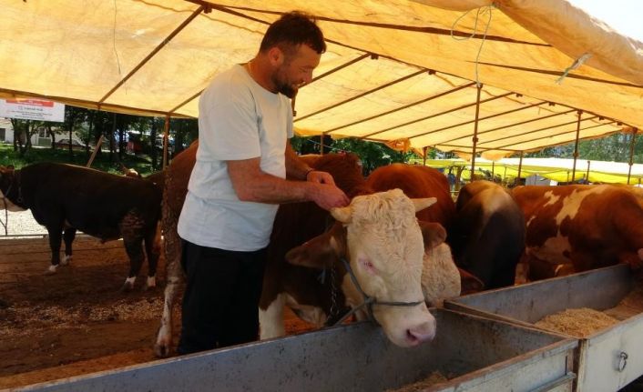 Ülke genelinde tüm hayvan pazarları kapatıldı