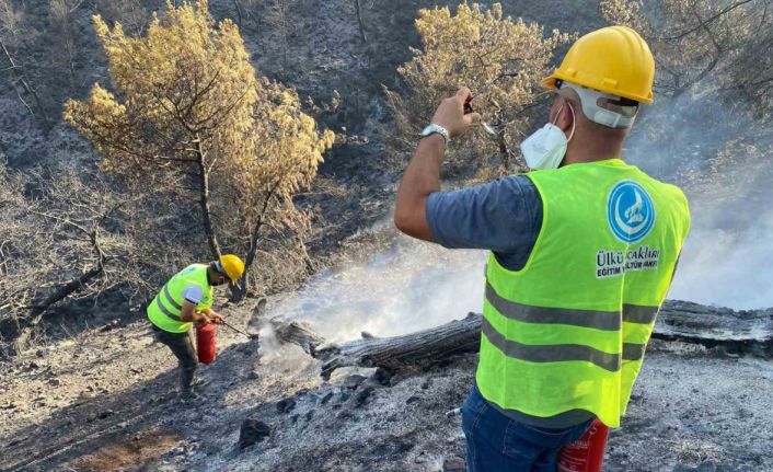 Ülkü Ocakları, Hatay’da yangınla mücadelede vatandaşların yanında oldu