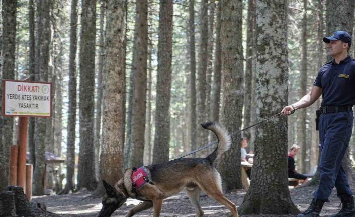 Uludağ’ın ormanlarında jandarmadan 24 saat motorize devriye