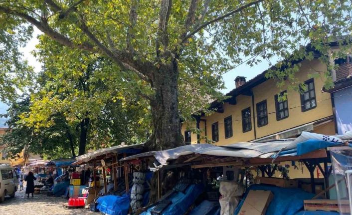 Unesco miras listesindeki 700 yıllık tarihi köye düzen geliyor