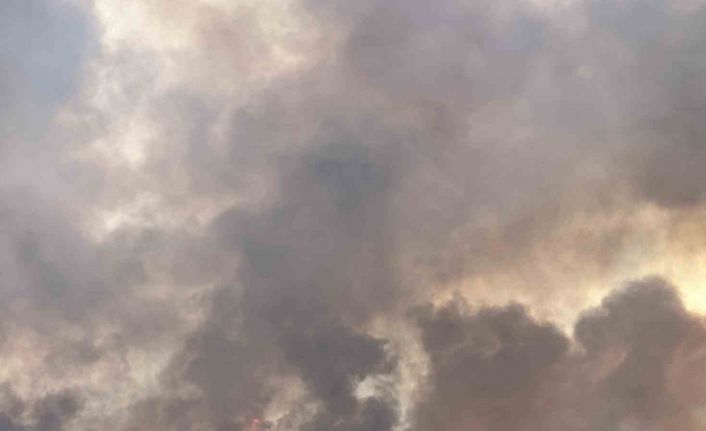 Uşak’ta devam eden orman yangınında hem tahliyeler hem de müdahale devam ediyor