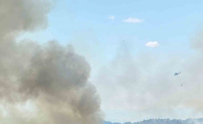 Uşak’ta ormanlık alanda çıkan yangına müdahale devam ediyor