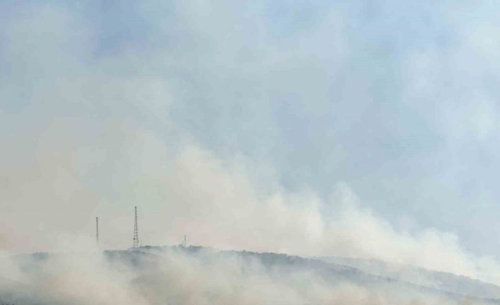 Uşak’ta tarım arazisinde başlayan yangın meşelik alana sıçradı