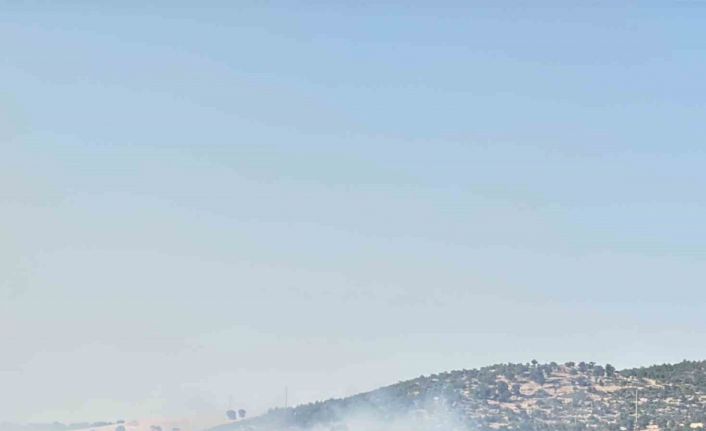 Uşak’taki meşelik alandaki yangına karadan müdahale devam ediyor