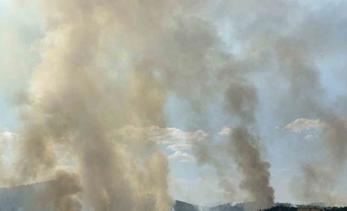 Uşak’taki orman yangınına havadan ve karadan müdahale devam ediyor