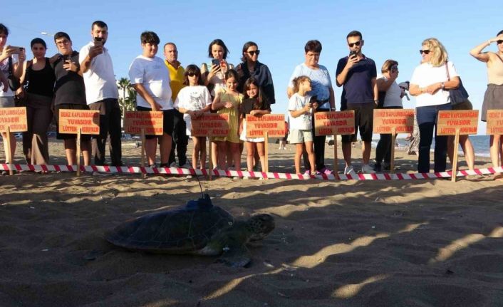 Uydu cihazı takılan kaplumbağa ’Soli’ denize bırakıldı